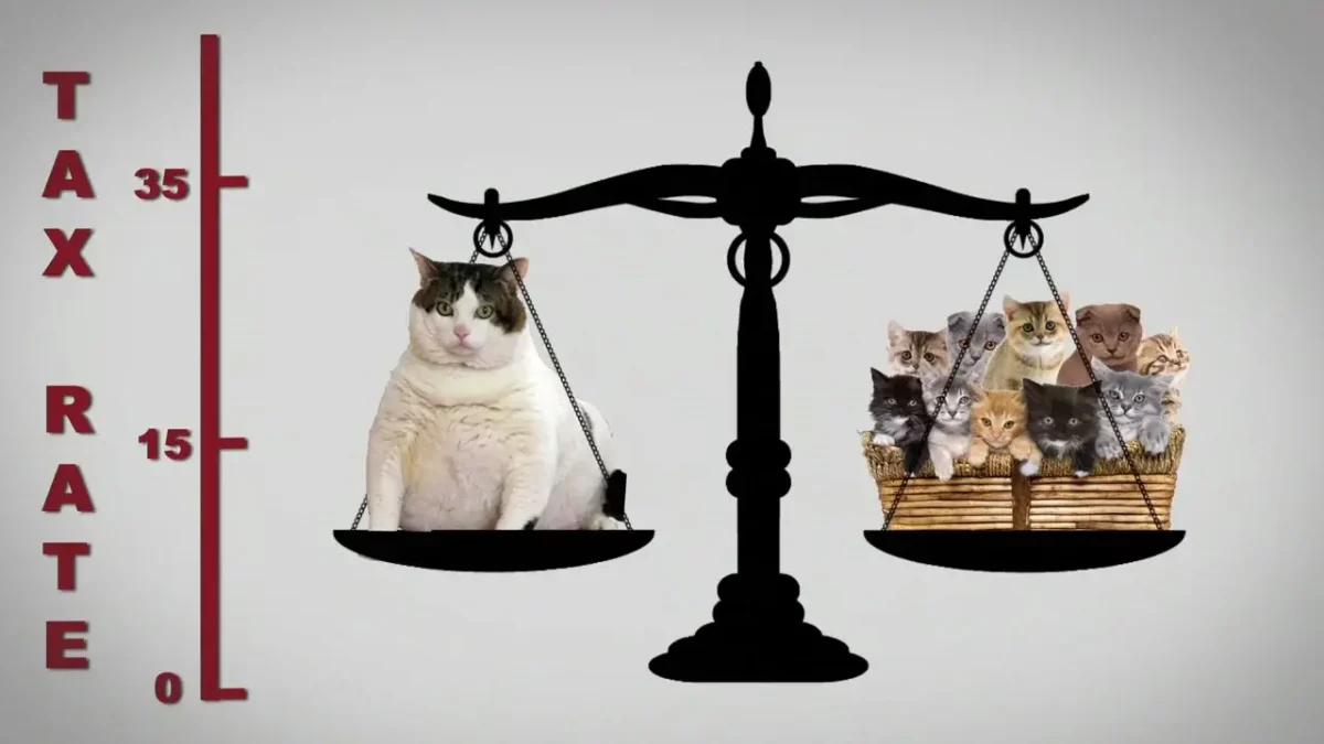 MoveOn.org: “Mitt’s Kittens”